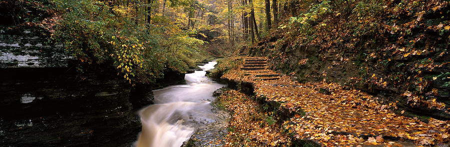 Fall Photograph - Buttermilk Creek, Ithaca, New York by Panoramic Images