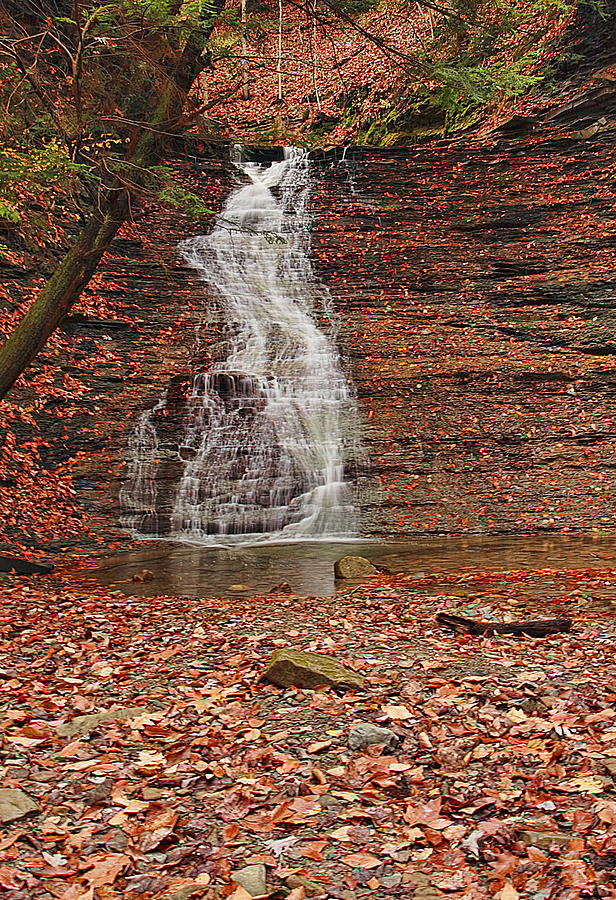 Cuyahoga Valley National Park Photograph - Buttermilk Falls by Marcia Colelli