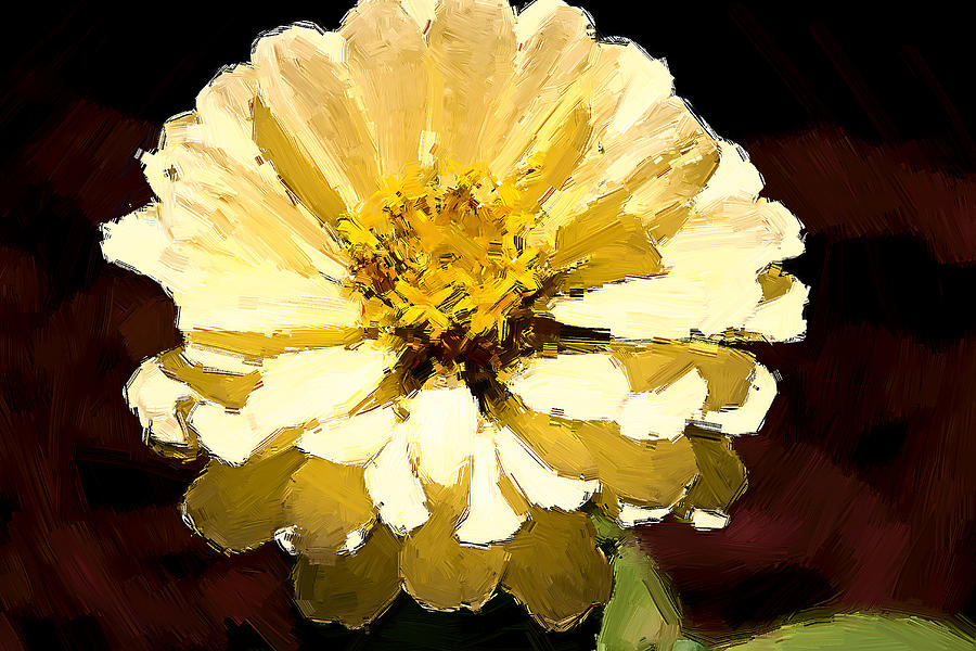 Buttermilk Yellow Photograph by Alice Gipson