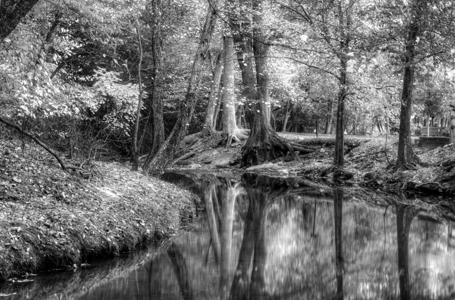 Butternut Creek Autumn in Black and White Photograph by Greg and Chrystal Mimbs