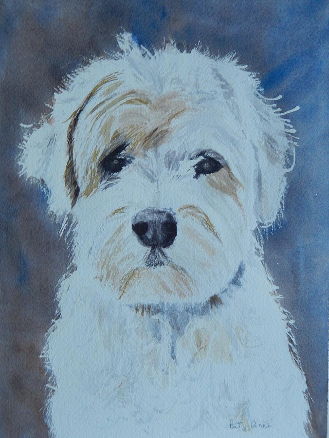 Dog Painting - Butters by Betty-Anne McDonald
