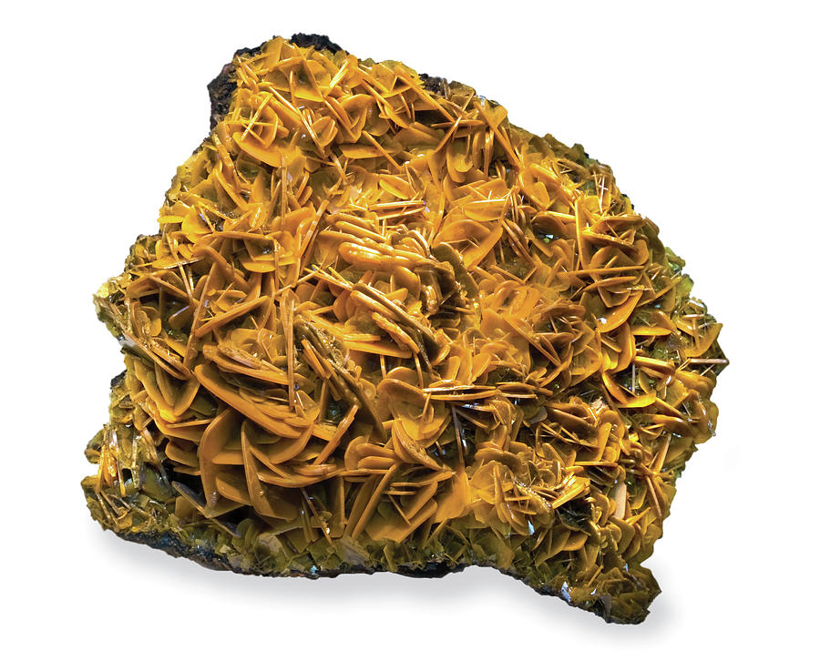 Mineralogy Photograph - Butterscotch Wulfenite Rock by Natural History Museum, London/science Photo Library