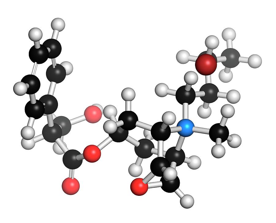 Butylscopolamine Antispasmodic Drug Photograph by Molekuul - Fine Art ...