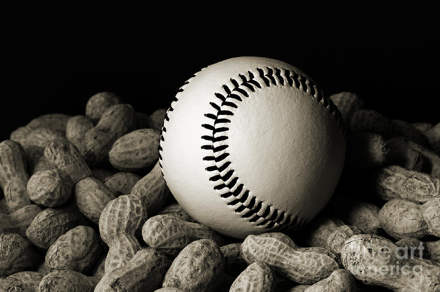 Buy Me Some Peanuts - Baseball - Nuts - Snack - Sport - B W Photograph by Andee Design