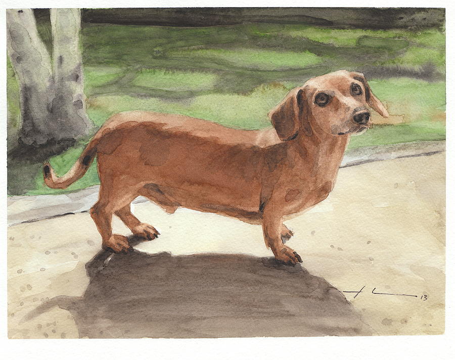 Buzz The Dachshund Watercolor Portrait Drawing by Mike Theuer Buzz The Dachshund Watercolor Portrait Drawing by Mike Theuer