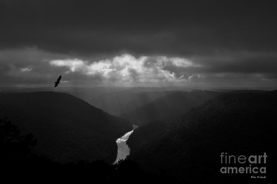 Buzzard flying in gorge Photograph by Dan Friend