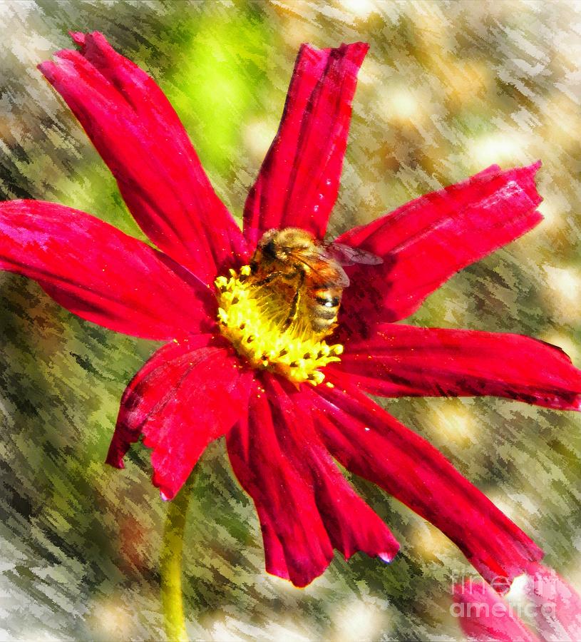 Buzzy the Bee Photograph by Michelle Frizzell-Thompson