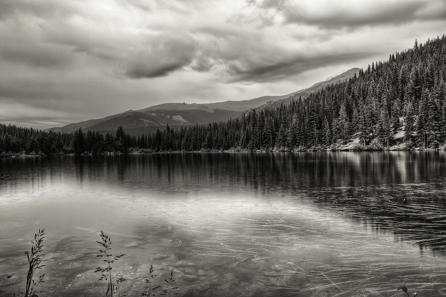 BW Bear Lake Photograph by Scott Wood