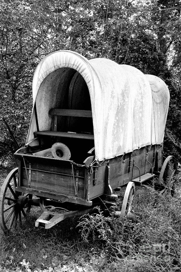 BW Covered Wagon Photograph by Timothy Hacker