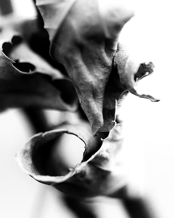 Abstract Photograph - Bw Mood Study 1 by Jakub Sisak Abstract Photograph - Bw Mood Study 1 by Jakub Sisak