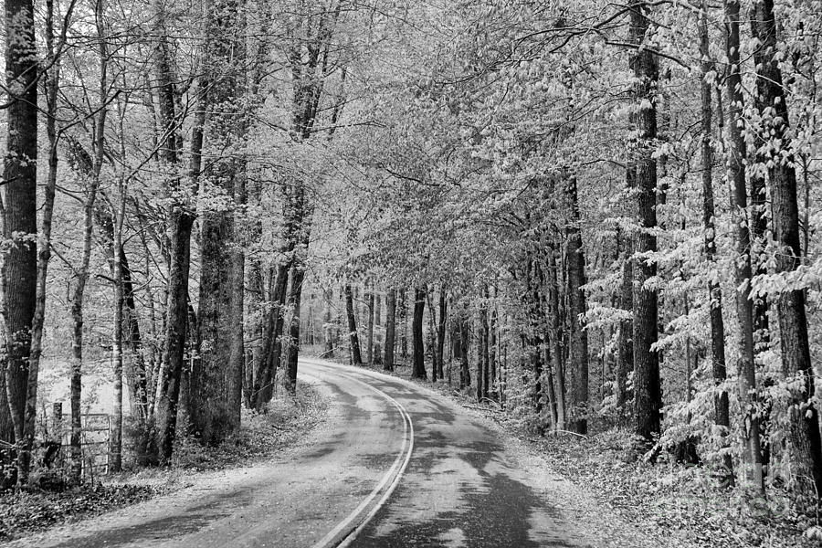 BW Southern Roads Photograph by Chuck Kuhn - Fine Art America