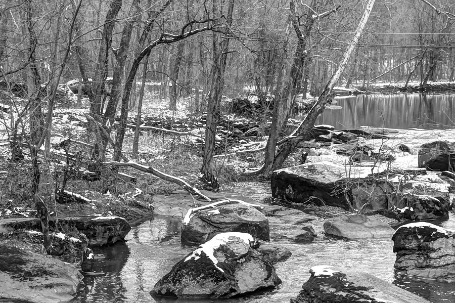 BW Unami Creek in Winter Grays Photograph by Carol Senske