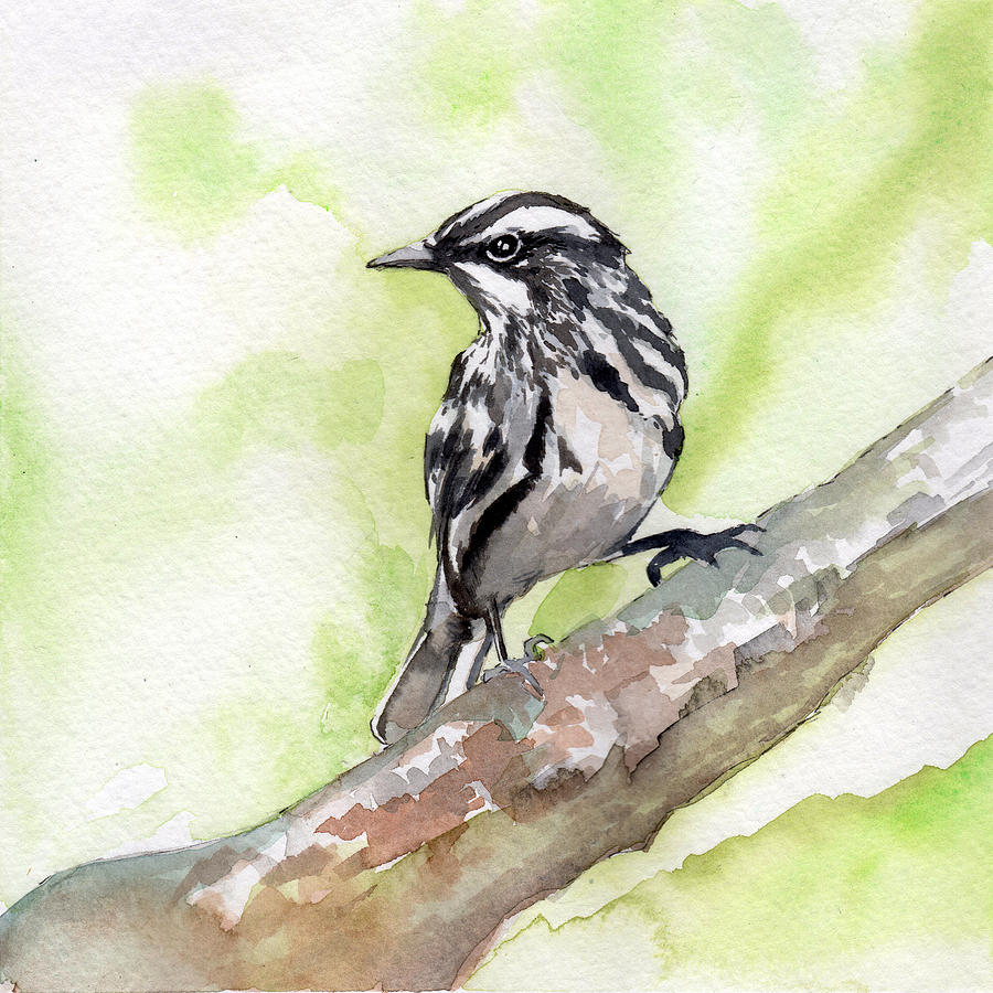 BW Warbler Painting by Sean Parnell