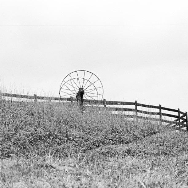 Monochromatic Photograph - This is Country by Laura Doty