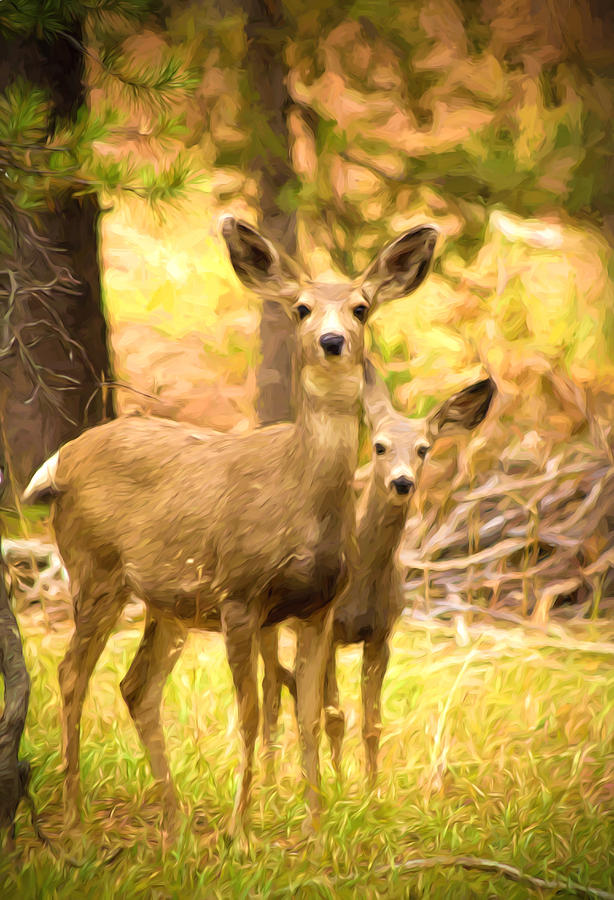By Mamas Side - Photo Manipulation - Mule Deer - Casper Mountain - Casper Wyoming Photograph by Diane Mintle