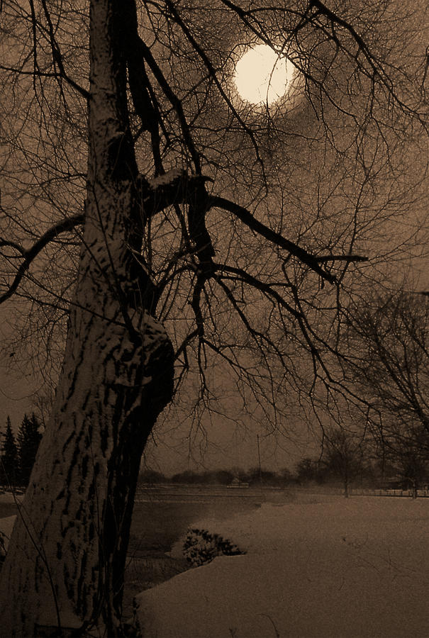 By Moonlight Photograph by Jim Vance