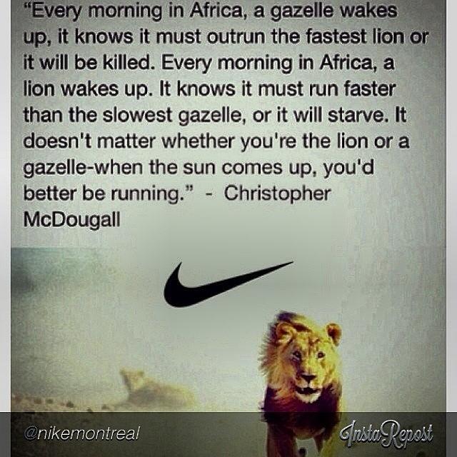 Lion Photograph - By @nikemontreal #keeprunning - #nike by Quinn  Moore