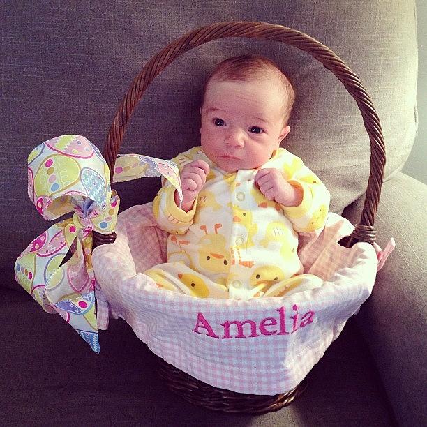 By Popular Request, I Present: Amelia Photograph by Lauren Mccullough