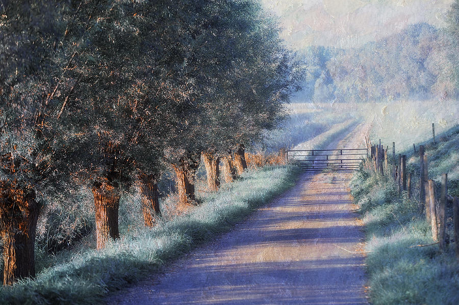 Claude Monet Photograph - By Road of Your Dream. Monet Style by Jenny Rainbow