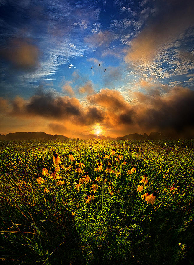 Landscape Photograph - By the Dawns Early Light by Phil Koch