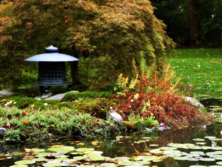 By The Pond Photograph
