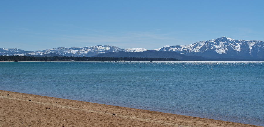 By the South Shores of Lake Tahoe Photograph by Michele Myers