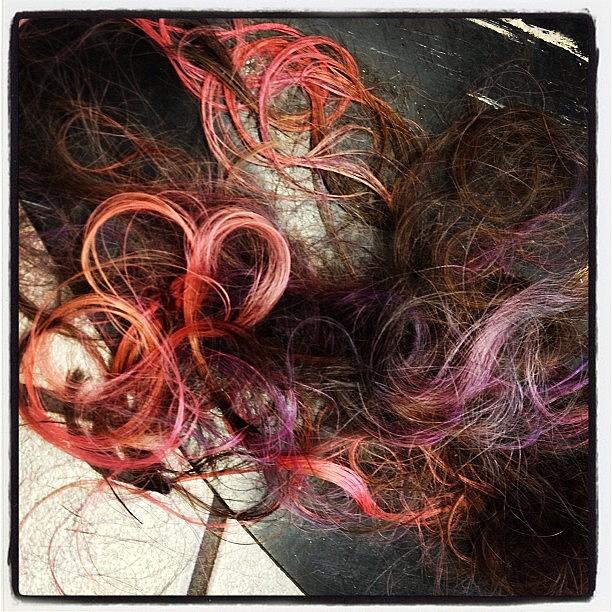 Bye Bye Pink And Purple Hair! Photograph by Lonnie DiNello