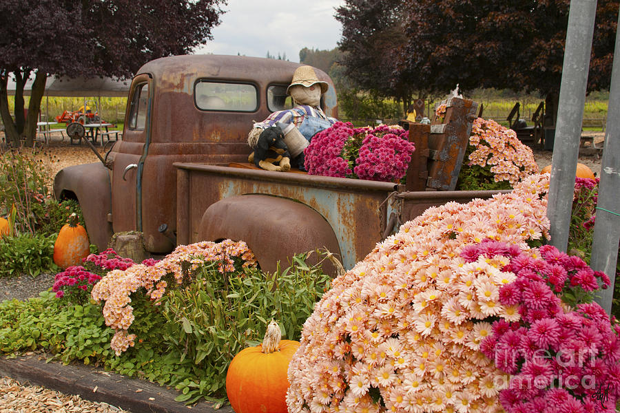Bygone Harvest Photograph by Victoria Harrington
