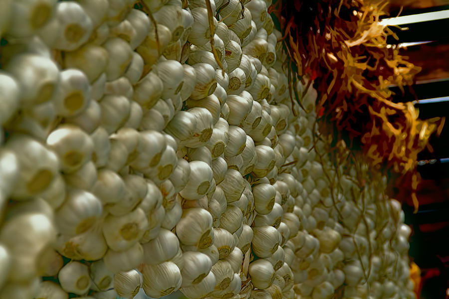 ByWard Market Wall of Garlic Cloves Photograph by Peggy Collins