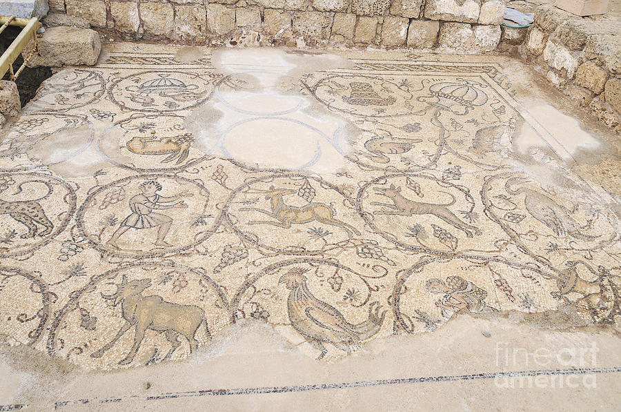 Byzantine mosaic depicting animals and hunting scenes. Photograph by Shay Levy