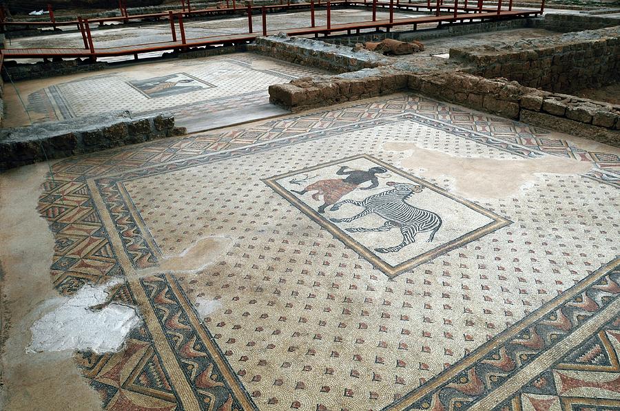 Byzantine Mosaics Photograph by Pasquale Sorrentino/science Photo Library