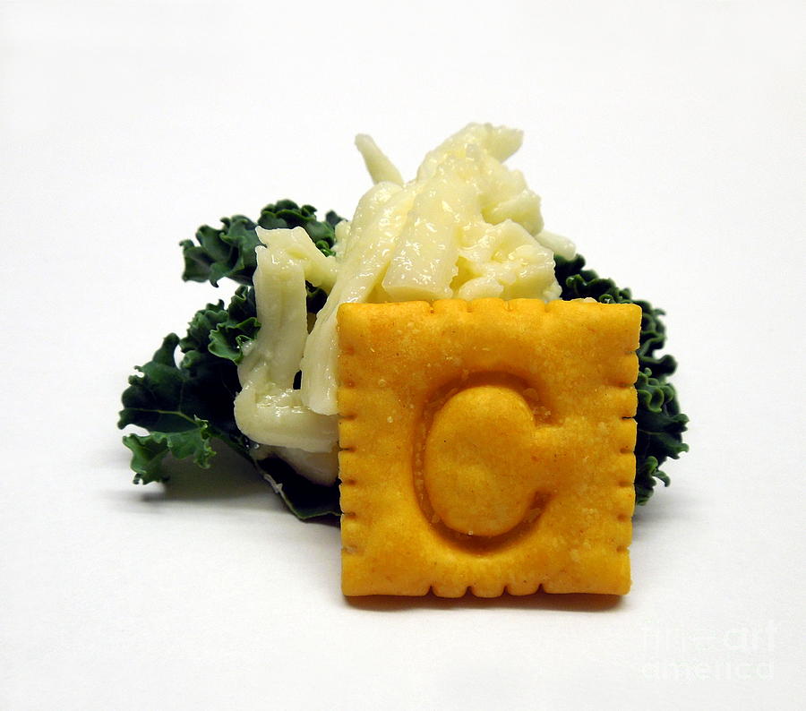 C . Cheese n Cracker Photograph by Renee Trenholm