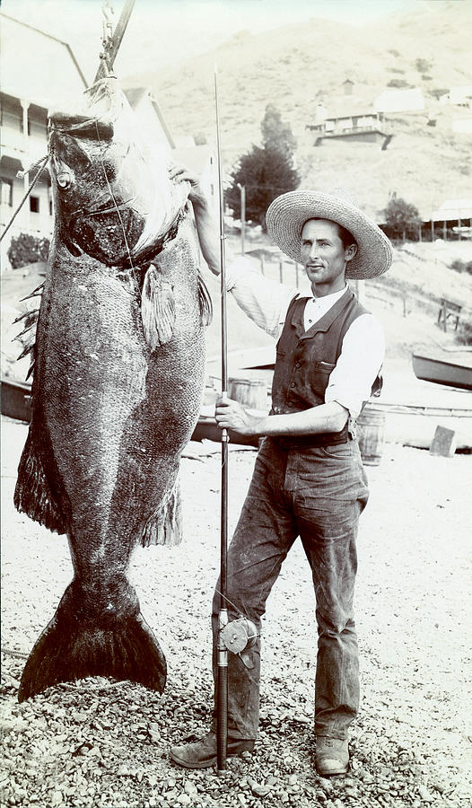 1890 Fisherman and Goliath Grouper Photograph by Historic Image