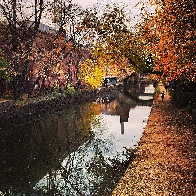 Fall Photograph - C and O Canal Georgetown by Kathleen Barnes