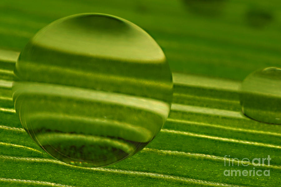 Nature Photograph - C Ribet Orbscape Green Jupiter by C Ribet