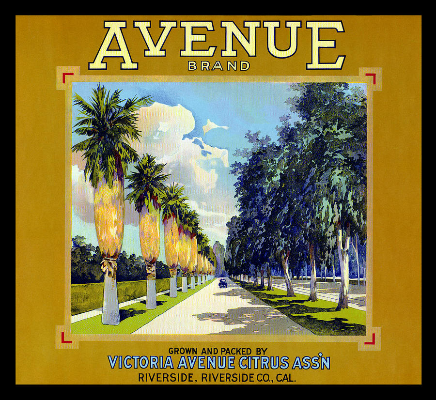 C.1925 Avenue Brand Citrus Painting by Historic Image