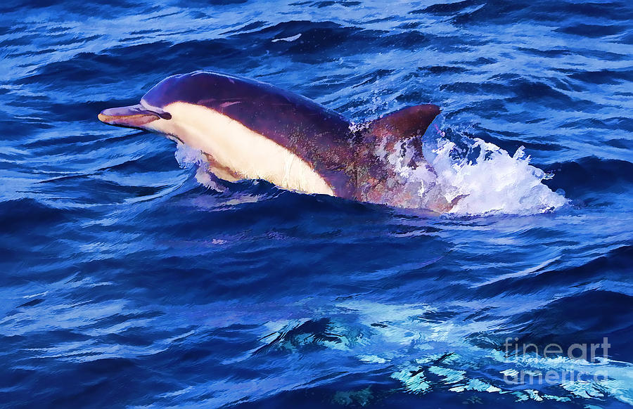 CA Dolphins HDR Oil Photograph by Tommy Anderson