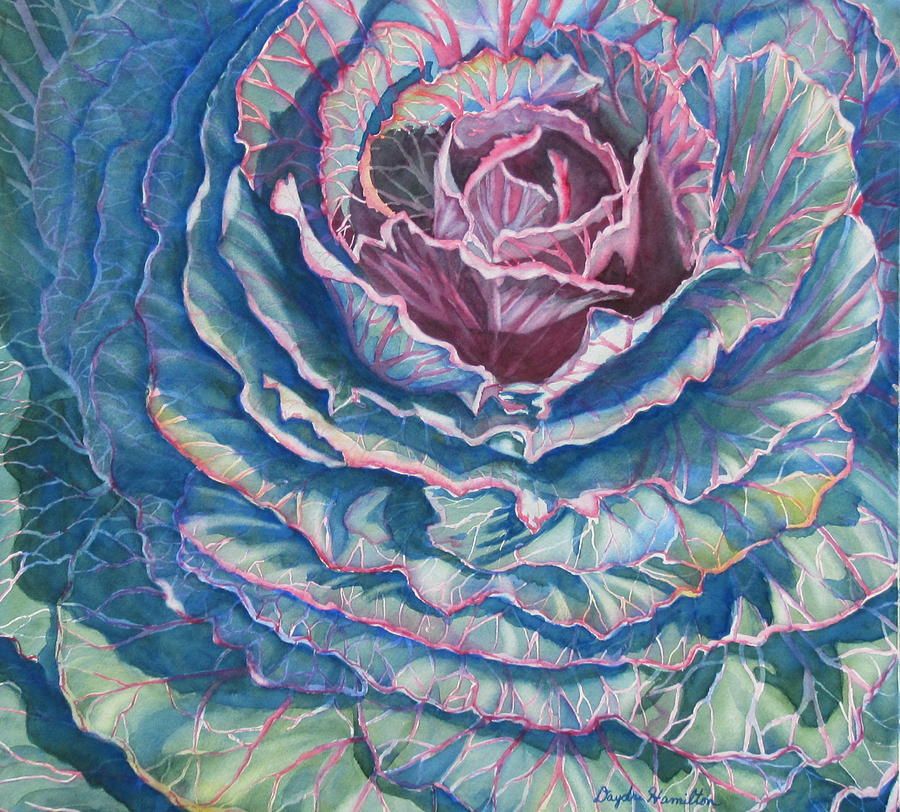 Cabbage by Daydre Hamilton Cabbage by Daydre Hamilton