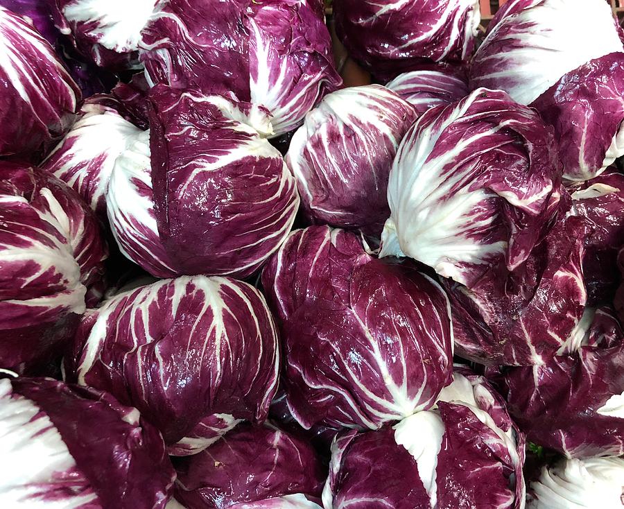Cabbage Photograph by Dixon Hamby