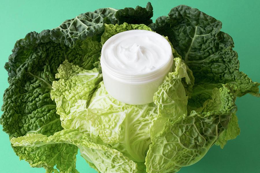 Cabbage Photograph - Cabbage Leaves And Moisturizing Cream by Ian Hooton/science Photo Library