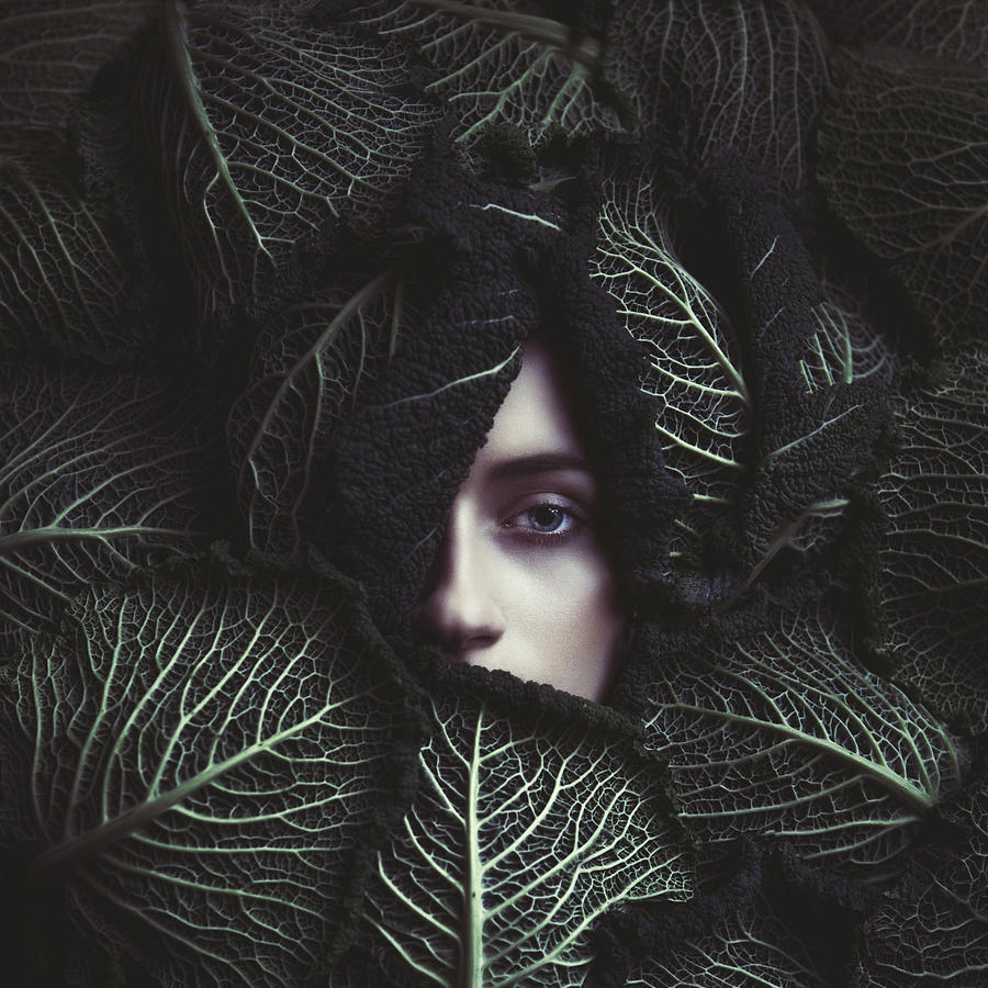 Cabbage Photograph - Cabbage by Magdalena Russocka