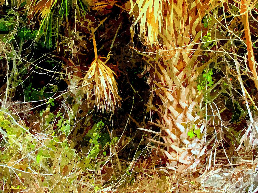 Cabbage Palm Cat Hole Photograph by Buzz Coe