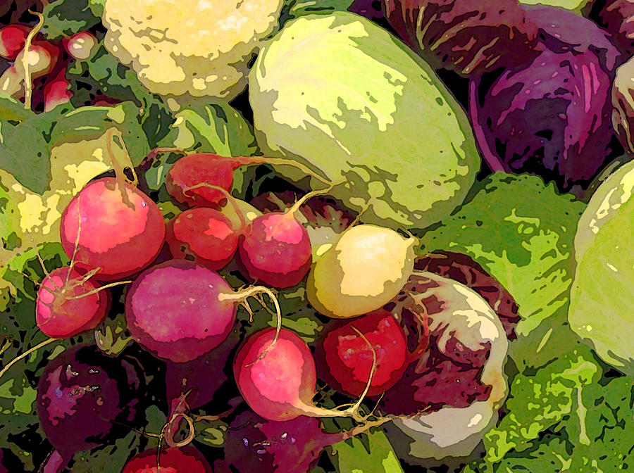 Vegetable Photograph - Cabbages and Radishes by Jean Hall