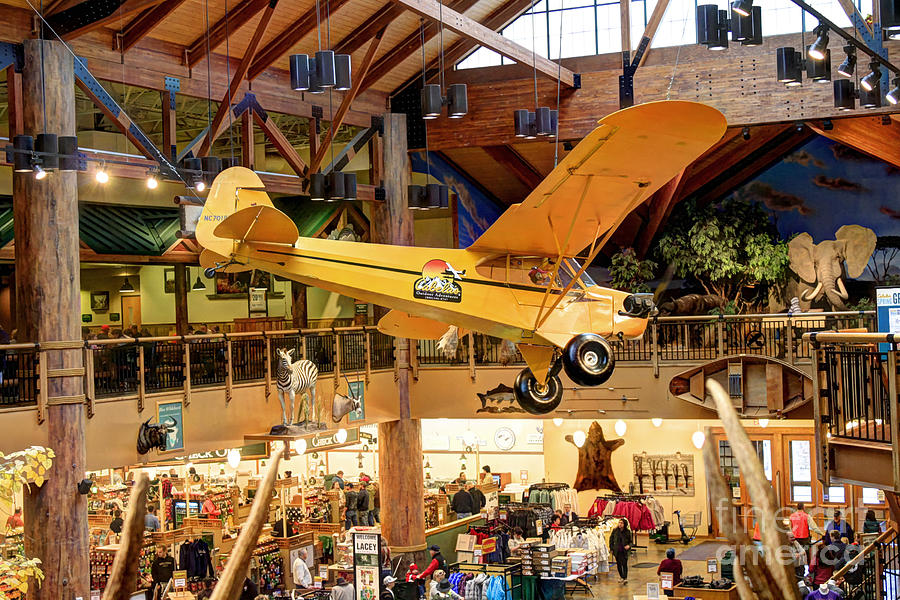 Architecture Photograph - Cabelas Outdoor Adventures by Chris Anderson