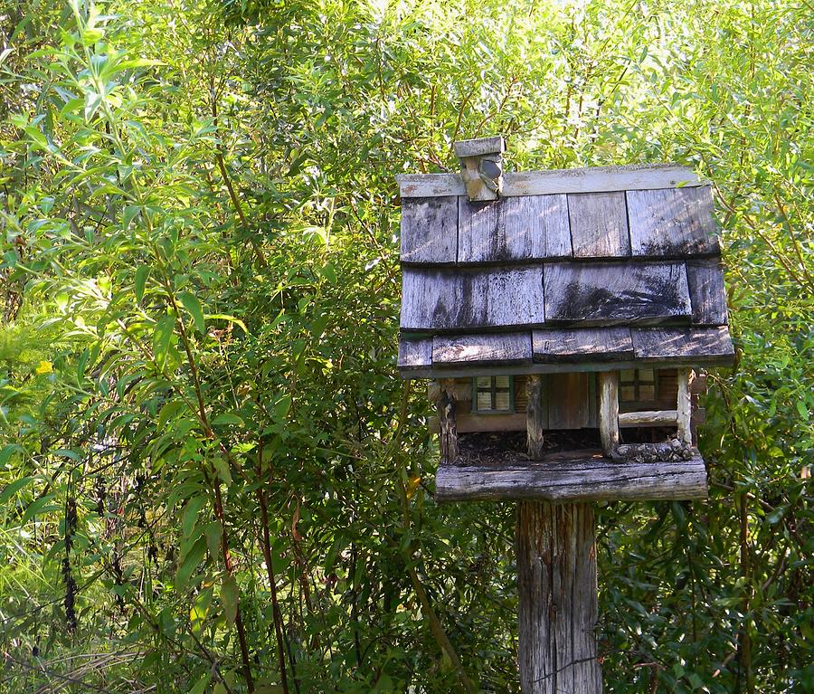 Cabin Bird House Photograph By Warren Thompson - Fine Art America