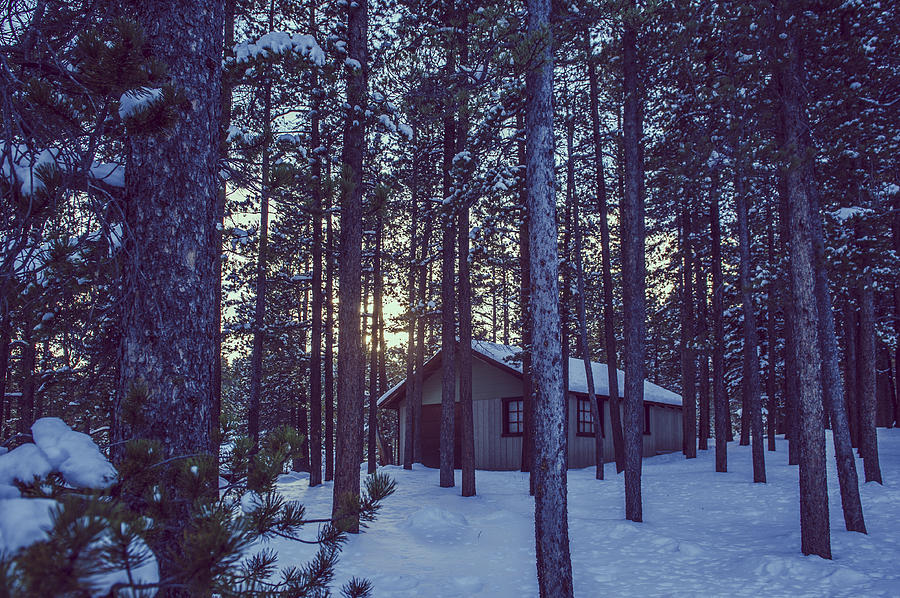 Sunset Photograph - Cabin Dreams by Chelsea Stockton
