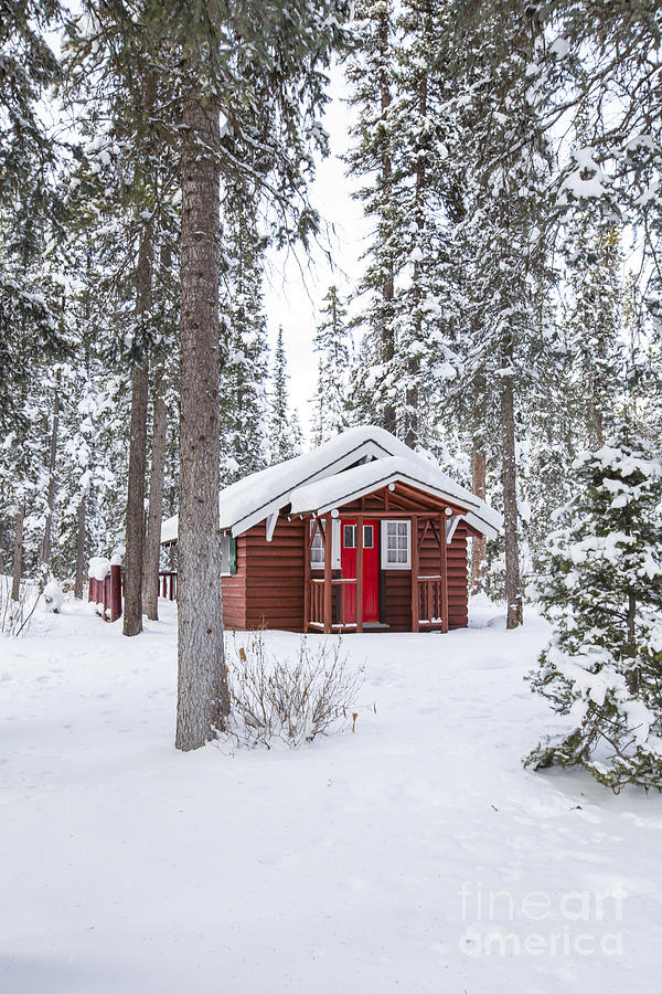 Banff National Park Photograph - Cabin Fever by Evelina Kremsdorf