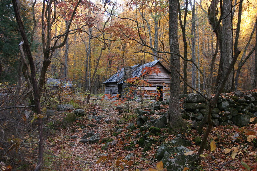 Cabin In The Fall Photograph by Sam Jenkins