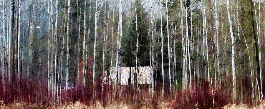 Cabin in the Forest Photograph by Rick Lawler