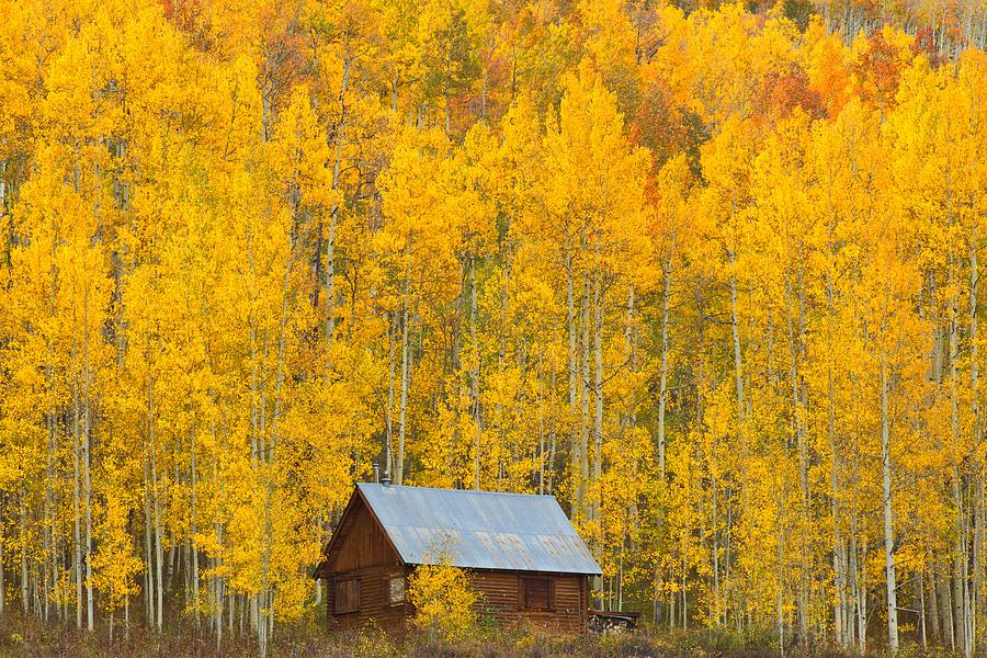 Landscape Photograph - Cabin in the Gold by Steve Luther